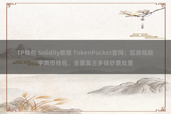 TP钱包 Solidity教程 TokenPocket官网：区块链数字货币钱包，全面复古多链钞票处置