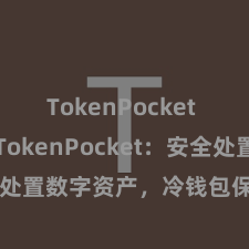 TokenPocket Web3 TokenPocket：安全处置数字资产，冷钱包保护您的资产